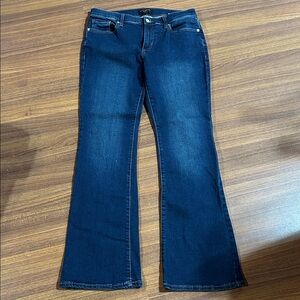 Banana Republic Deep Indigo Flare Jeans